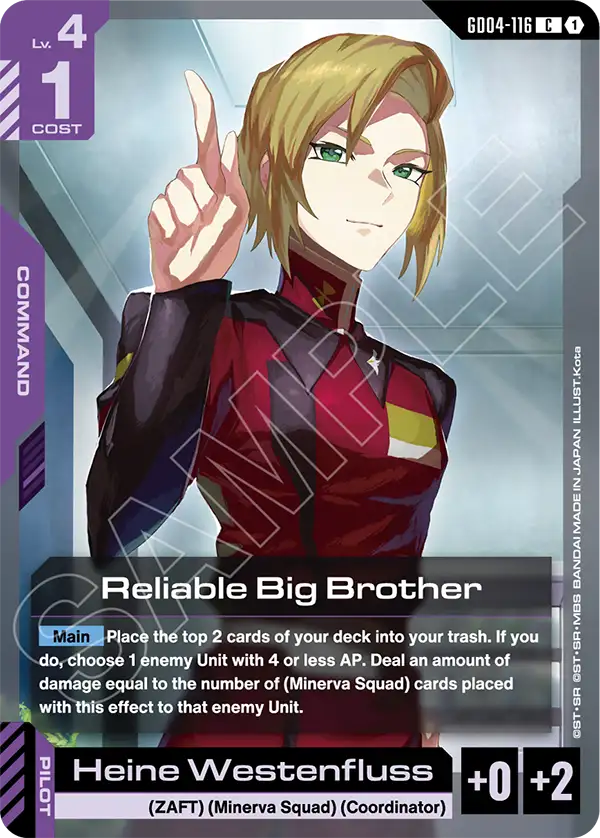 Reliable Big Brother art 1