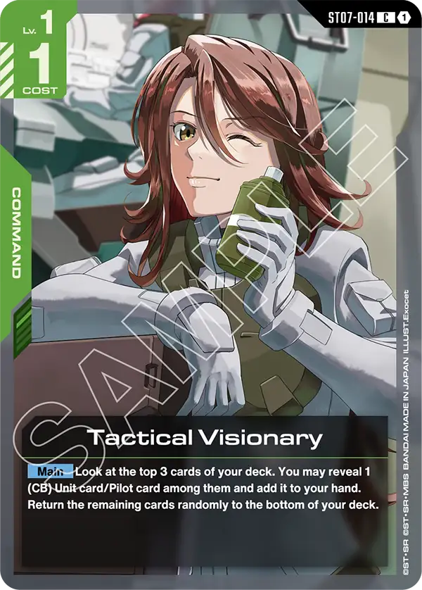Tactical Visionary art 1